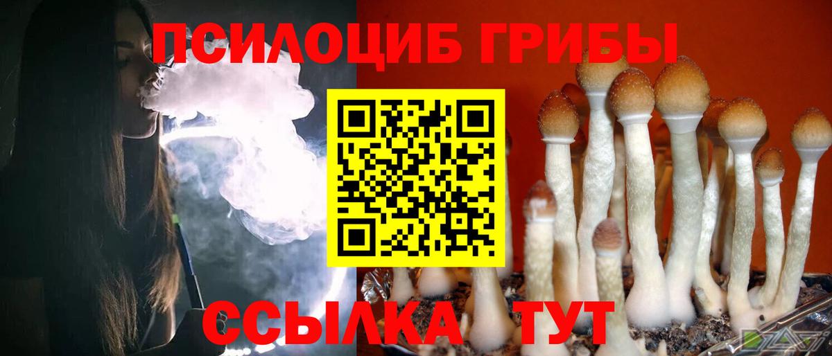 Галлюциногенные грибы MAGIC MUSHROOMS  где найти   Галлюциногенные грибы Psilocybe  Кимовск  Вход с VPN 